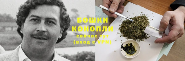 дмт Горняк