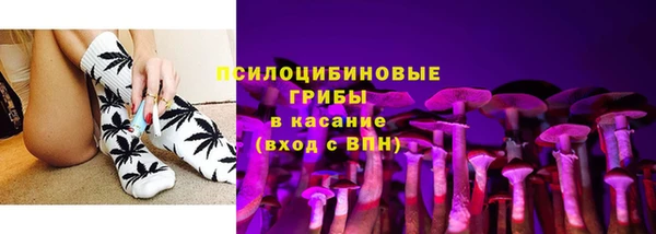 прущие грибы Горно-Алтайск