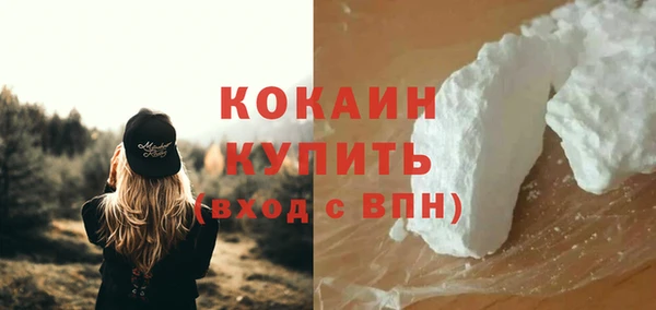 дживик Горнозаводск