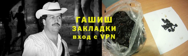 прущие грибы Горно-Алтайск