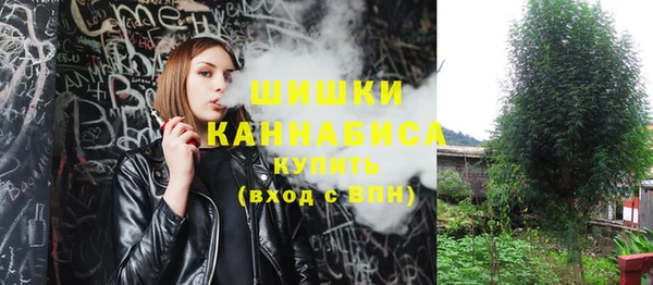 прущие грибы Горно-Алтайск