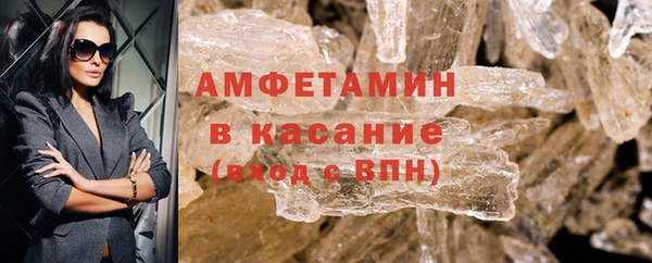 прущие грибы Горно-Алтайск