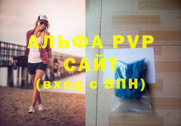 прущие грибы Горно-Алтайск