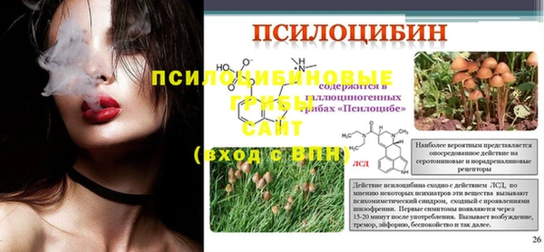 дмт Горняк