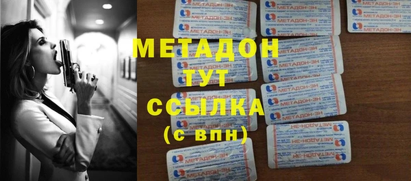 прущие грибы Горно-Алтайск