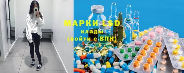 прущие грибы Горно-Алтайск