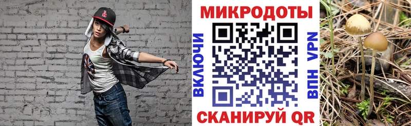 Псилоцибиновые грибы MAGIC MUSHROOMS  Черноголовка 